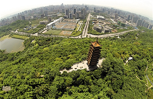 李勇向澎湃新聞（www.thepaper.cn）透露，重慶自貿(mào)區(qū)申報(bào)已有兩年時(shí)間，中央也批示重慶進(jìn)行研究，中央相關(guān)部委和海關(guān)部門也都到重慶調(diào)研過，目前在等待中央批復(fù)。重慶自貿(mào)區(qū)申報(bào)范圍包括空港保稅區(qū)、鐵路保稅物流中心和寸灘保稅區(qū)三塊，覆蓋鐵、空、水三路，總面積120平方公里左右。重慶自貿(mào)區(qū)更多的是與“一帶一路”相結(jié)合。