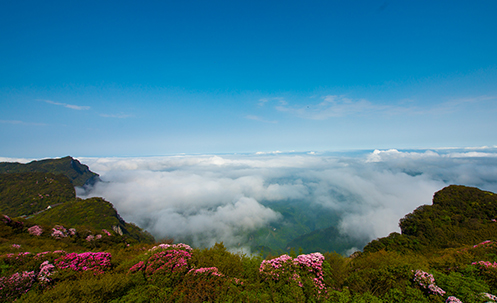 重慶全域旅游規(guī)劃 重慶全域旅游規(guī)劃